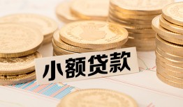 深圳南山区哪里有小额贷款-深圳南山区身份证贷款平台-深圳南山区民间短借